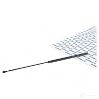 Амортизатор капота STABILUS 876900 1229174 2AEY TE 4046577519695 - Изображение 1