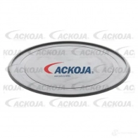 Обгонная муфта генератора ACKOJA a38230005 C7 DBRY 4062375102822 1424778954 - Изображение 2