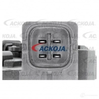 Щетки генератора, с регулятором ACKOJA 9DR TH 1425063361 4062375099115 a70770002 - Изображение 2