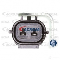 Клапан изменения фаз ГРМ, vvti ACKOJA a630020 1437298227 GVP J2 - Изображение 2