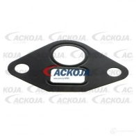 Клапан ЕГР ACKOJA 4062375022229 a26630001 1424512020 YP 7I7 - Изображение 3