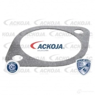Термостат ож ACKOJA T B93Z 4062375075461 a53990010 1424883128 - Изображение 2