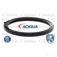 Термостат ож ACKOJA 4062375075492 1424883129 XV83H I4 a53990011 - Изображение 2