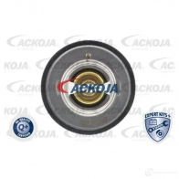 Термостат ож ACKOJA YV R2PA 1424883037 4062375076222 a38990008 - Изображение 2
