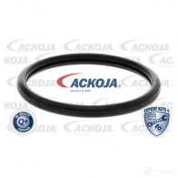 Термостат ож ACKOJA 4062375075355 60 IPSG a52990015 1424883097 - Изображение 2