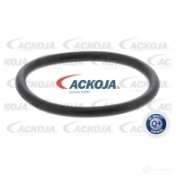 Термостат ож ACKOJA a53990009 1424883127 KDCF N 4062375075416 - Изображение 2