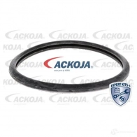 Термостат ож ACKOJA 1424883090 U4 CFZ a52990005 4062375075164 - Изображение 2