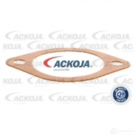 Термостат ож ACKOJA S BI3UP a70990005 4062375074990 1424883171 - Изображение 2