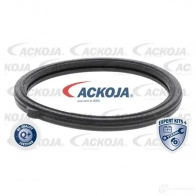 Термостат ож ACKOJA a32991705 1424883008 4062375075515 LX60 D06 - Изображение 2