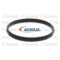 Термостат ож ACKOJA a70990006 IZF IQ 1437287750 - Изображение 2