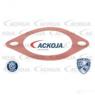 Термостат ож ACKOJA a52990003 1424883088 LZ8 PF2G 4062375075140 - Изображение 2