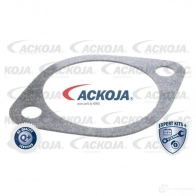 Термостат ож ACKOJA a52990025 1424883101 DY51 I1D 4062375075454 - Изображение 2