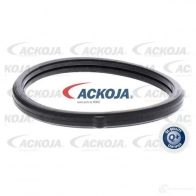 Термостат ож ACKOJA 4062375075379 Z NIRA a52990019 1424883098 - Изображение 2