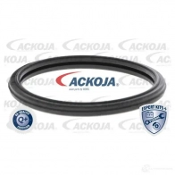 Термостат ож ACKOJA 1424883041 4062375075126 OCBPP V a38990015 - Изображение 2