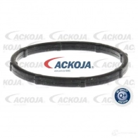 Термостат ож ACKOJA a52990013 4062375075331 1424883095 K7Q7 3JI - Изображение 2