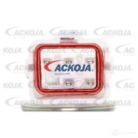 Топливный насос ACKOJA S2MW6 RE 4062375074617 a52090012 1424594951 - Изображение 2