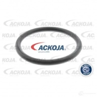 Топливный фильтр ACKOJA N Z72B7 4046001838811 1424516859 a700301 - Изображение 4
