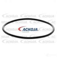Топливный фильтр ACKOJA a700197 2KG DXD 1424516846 4062375084029 - Изображение 2