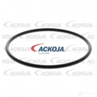 Топливный фильтр ACKOJA 4062375084517 1424516857 U 7VFO a700277 - Изображение 2