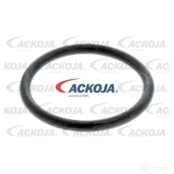 Топливный фильтр ACKOJA O2F6 EA a370099 1424516797 4062375079520 - Изображение 3
