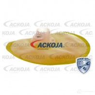 Топливный насос ACKOJA U9Z 9W 4062375018734 a52090013 1424696534 - Изображение 3