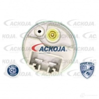 Топливный насос ACKOJA a52090007 K5 Y8DF 4046001778582 1424594946 - Изображение 3