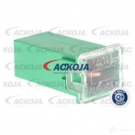 Предохранитель ACKOJA a99980009 Y 5XFFJ9 1437298803