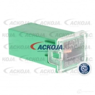Предохранитель ACKOJA 1437298827 YE2PZ NS a99980014