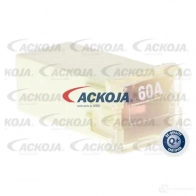 Предохранитель ACKOJA 1437298833 WW UWW a99980016