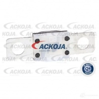 Предохранитель ACKOJA R QLLZXJ 1437298818 a99980019
