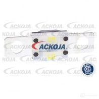 Предохранитель ACKOJA a99980017 XX G1HJT 1437298832