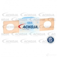 Предохранитель ACKOJA KFJ ZIZI a99980020 1437298834