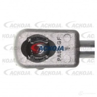 Амортизатор заднего стекла ACKOJA 1424311499 4062375069934 a520113 S2 NVKM - Изображение 2