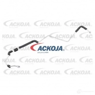 Трубка шланг кондиционера, высокого давления ACKOJA 1424581080 a32200002 STEEX OI 4062375084715