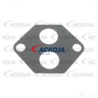 Датчик холостого хода, регулятор ACKOJA JMHJ 25D a32770004 1424251087 4062375084562 - Изображение 3