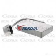 Блок розжига ксеноновых фар ACKOJA a70840004 4062375103249 3M1TSM M 1424466064