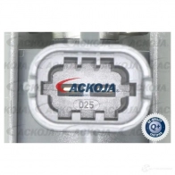 Топливная форсунка ACKOJA 1424561908 4062375077175 a52110010 2 XE9K - Изображение 2