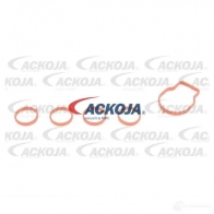 Воздушный патрубок к коллектору ACKOJA 1437298109 a260245 LKW6 6 - Изображение 2