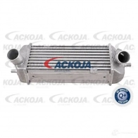 Интеркулер ACKOJA 1424883079 a52600009 JQ5 064 4062375091454