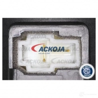 Моторчик печки, вентилятора ACKOJA a53030004 XLLC P2 4062375077557 1424312987 - Изображение 2