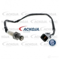 Лямбда зонд, кислородный датчик ACKOJA 1424314860 a53760007 4046001778261 2IU ON - Изображение 3