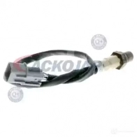 Лямбда зонд, кислородный датчик ACKOJA 4046001778803 1424314864 7 T64PV a53760012 - Изображение 2