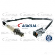 Лямбда зонд, кислородный датчик ACKOJA 4046001778803 1424314864 7 T64PV a53760012 - Изображение 4