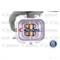Лямбда зонд, кислородный датчик ACKOJA 4046001778803 1424314864 7 T64PV a53760012 - Изображение 5