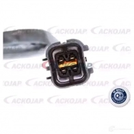 Лямбда зонд, кислородный датчик ACKOJA a52760019 4046001778179 4 OEI0VL 1424314856 - Изображение 2
