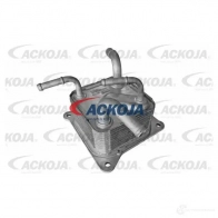 Радиатор АКПП ACKOJA HZ5L 2 1438026393 a38600011
