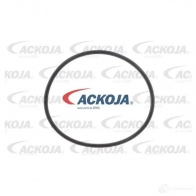 Масляный радиатор двигателя ACKOJA X K1OP a38600012 1438026578 - Изображение 2