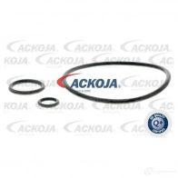 Масляный фильтр ACKOJA a260501 4046001839825 BU52 Y 1424351967 - Изображение 3