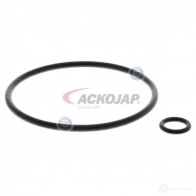 Масляный фильтр ACKOJA 1424351991 a520500 4046001779299 ZA0P X - Изображение 2