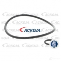 Масляный фильтр ACKOJA 1424351991 a520500 4046001779299 ZA0P X - Изображение 5